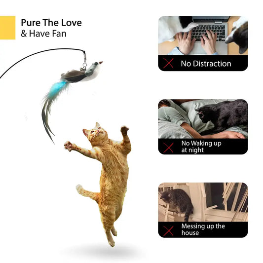 Cat Toy Wand 10-in-1 Interactive Feather Wand with Suction Cup – Hands-Free Indoor Cat Toy